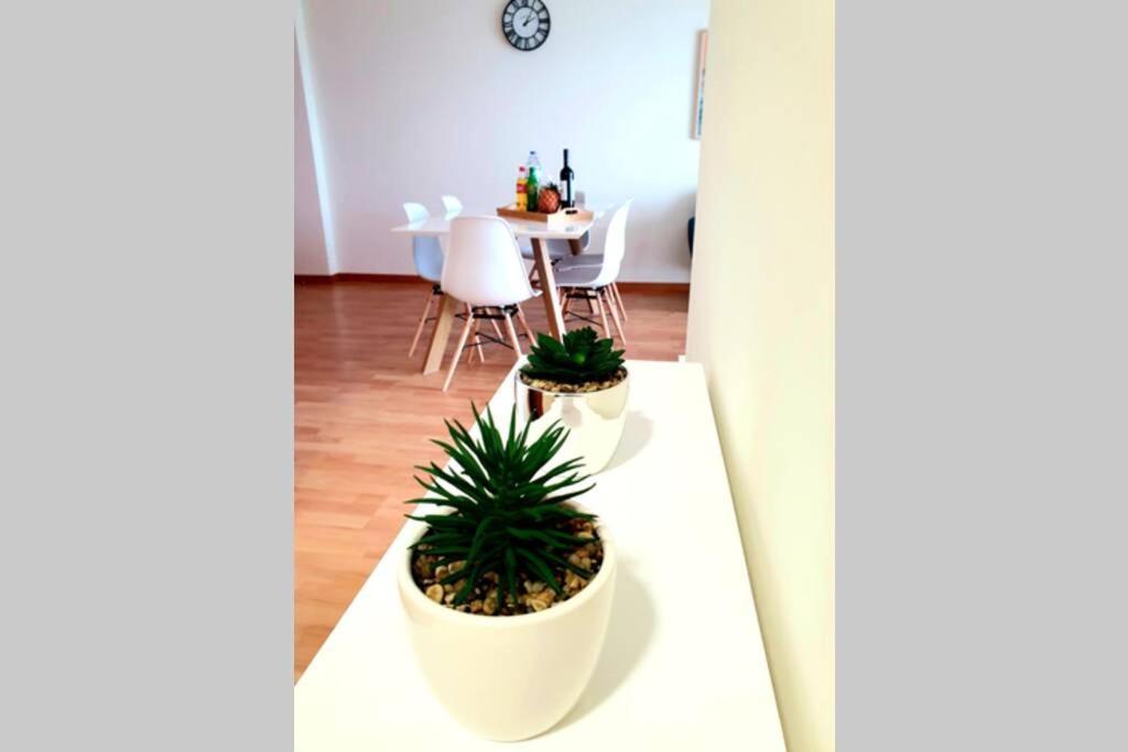 Hill & Sea House Apartment Ribeira Grande Luaran gambar